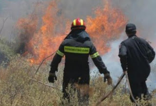 Μαίνεται η φωτιά στη Φωκίδα - Σε ύφεση η πυρκαγιά στην Αχαΐα - Φωτογραφία 1