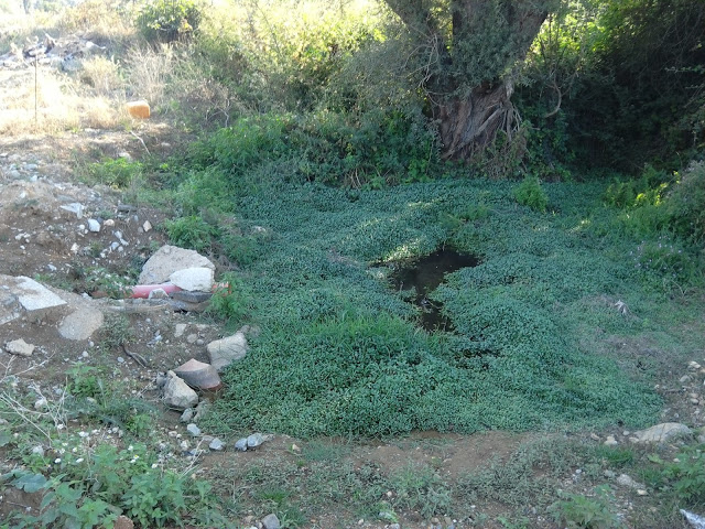 Δήμος Άργους Ορεστικού: Οικολογική βόμβα στον Αλιάκμονα [video] - Φωτογραφία 7