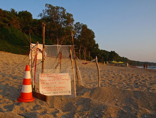 O διάδρομος στην άμμο θα βοηθήσει τα «καρεττάκια» να φτάσουν γρηγορότερα στην θάλασσα - Φωτογραφία 1