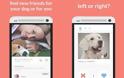 Tindog: Νέα εφαρμογή γνωριμιών… για σκύλους και γάτες