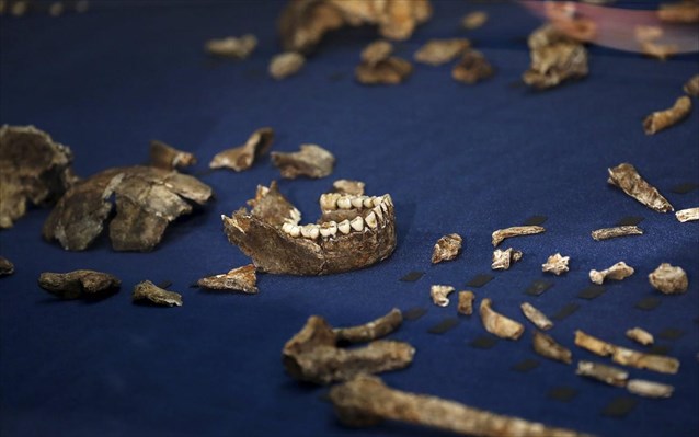 Homo naledi: Στο φως νέος συγγενής του προγόνου του ανθρώπου - Φωτογραφία 2