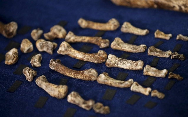 Homo naledi: Στο φως νέος συγγενής του προγόνου του ανθρώπου - Φωτογραφία 3