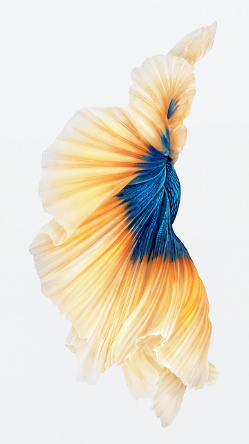 Κατεβάστε τα νέα Wallpapers από το iphone 6S - Φωτογραφία 4