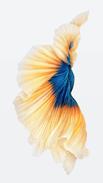 Κατεβάστε τα νέα Wallpapers από το iphone 6S - Φωτογραφία 5