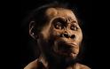 Βρέθηκε νέο είδος ανθρώπων: Ο Homo Νaledi αλλάζει την ιστορία!
