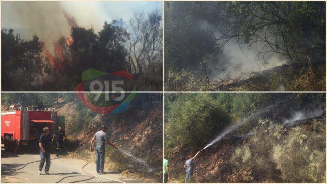 Απέτράπη εκδήλωση πυρκαγιάς, λίγο έξω από το Άστρος [video] - Φωτογραφία 2