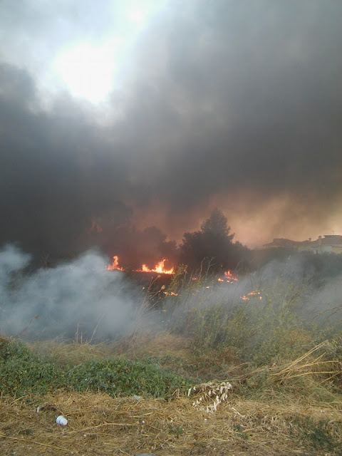 Μεγάλη φωτιά ξέσπασε σε αποθήκη τροφίμων στην Παλλήνη... [photos] - Φωτογραφία 5