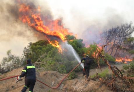 Ηλεία: Φωτιά έκανε στάχτη 100 στρέμματα και 30 πρόβατα στην Αρετή Λεχαινών - Φωτογραφία 1