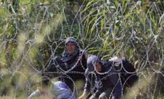 ΧΑΟΣ στην Κροατία: Νεκρός πρόσφυγας σε συγκρούσεις στα σύνορα - Φωτογραφία 1