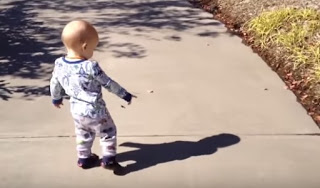 ΞΕΚΑΡΔΙΣΤΙΚΟ: Μωρά που φοβούνται... την σκιά τους (Video) - Φωτογραφία 1