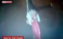 ΤΡΟΜΑΚΤΙΚΟ ατύχημα σε τσίρκο: Ακροβάτισσα έπεσε στο κενό [video]