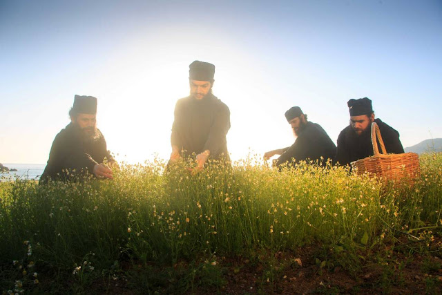 7100 - Στιγμές στο Άγιο Όρος - Φωτογραφία 3