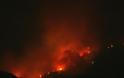 Ηλεία: Φωτιά σε δασική έκταση - Επί τόπου μεγάλη δύναμη της Πυροσβεστικής