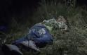 Μικρά παιδιά κοιμούνται στα δάση της Ευρώπης - Μόνα μετά το θάνατο των οικογενειών τους - Φωτογραφία 5