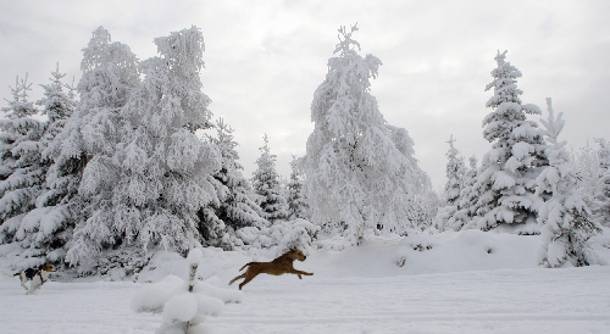 Σφοδρές χιονοπτώσεις και πολύ παγωνιά: Τι λένε τα μερομήνια για τον φετινό χειμώνα - Φωτογραφία 4