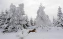 Σφοδρές χιονοπτώσεις και πολύ παγωνιά: Τι λένε τα μερομήνια για τον φετινό χειμώνα - Φωτογραφία 4