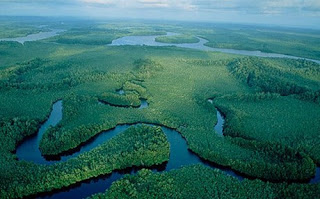 Αφρικανικές χώρες και χορηγοί προστατεύουν τα τροπικά δάση του Κονγκό - Φωτογραφία 1