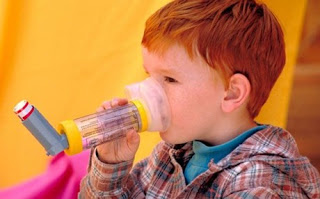 Κλειδί για την εκδήλωση άσθματος στα παιδιά είναι 4 βακτήρια του εντέρου - Φωτογραφία 1