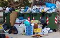 Ηλεία: Ανυπόφορη η κατάσταση με τα σκουπίδια - Άτακτες χωματερές παντού