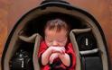 Μωρά φωτογραφίζονται να κοιμούνται μέσα σε τσάντες φωτογραφικών μηχανών! [photos] - Φωτογραφία 7