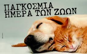 Παγκόσμια Ημέρα των Ζώων - Το μήνυμα και οι δράσεις του Δήμου Αγρινίου - Φωτογραφία 1