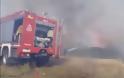 Φωτιά σε αγροτική έκταση στον Δήμο Τοπείρου – Απειλήθηκε κτηνοτροφική μονάδα