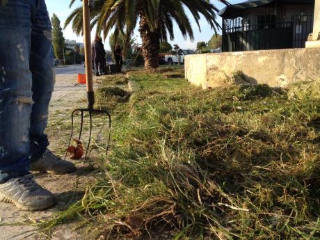 Πάτρα: Εργασίες αποψίλωσης στην Ηρώων Πολυτεχνείου - Φωτογραφία 4