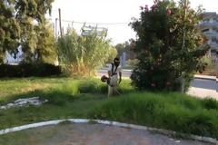 Πάτρα: Εργασίες αποψίλωσης στην Ηρώων Πολυτεχνείου