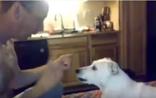 Δείτε και μείνετε: Το μαγικό κόλπο ενός άνδρα και η τρομερή αντίδραση του σκύλου του...  [video] - Φωτογραφία 1