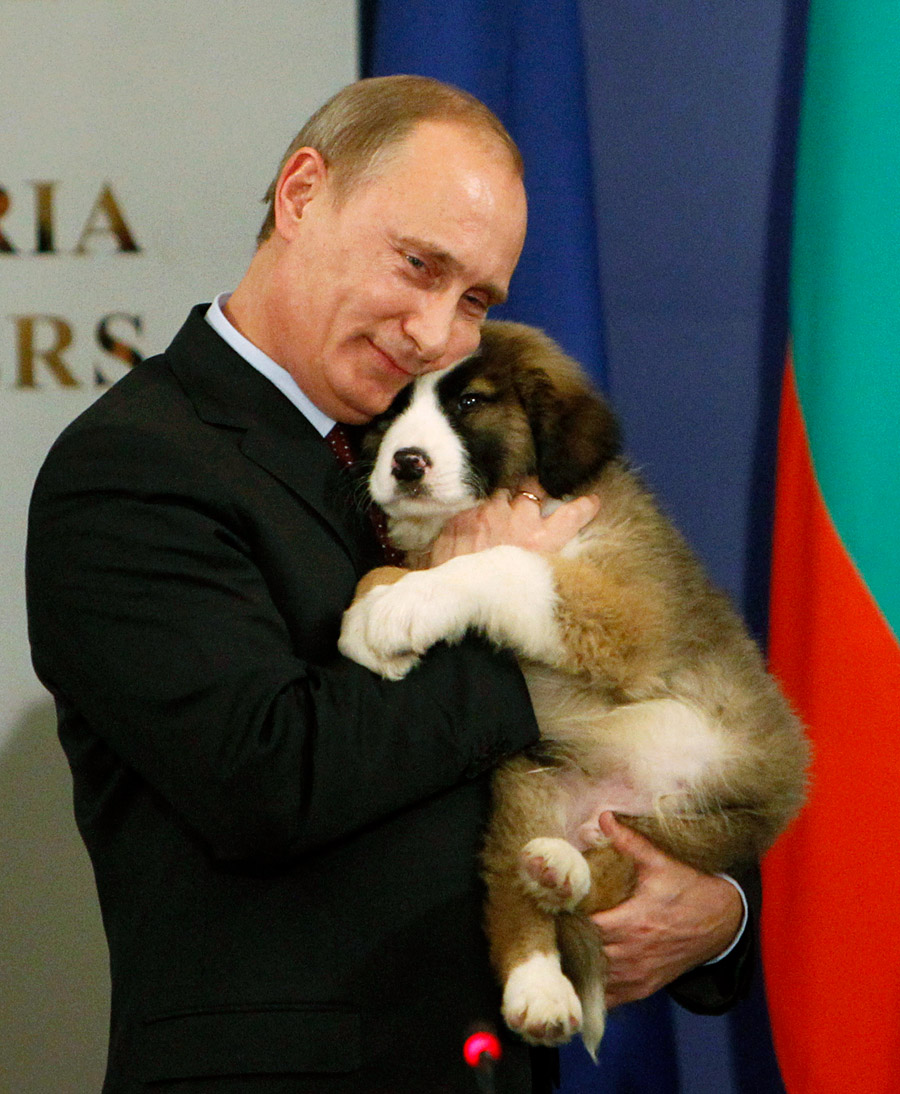 ΜΟΝΤΕΛΑΚΙ: Εκφραστικά φωτογραφικά ενσταντανέ του Βλαντίμιρ Πούτιν - Φωτογραφία 10