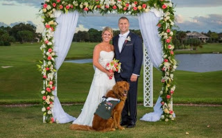 Ο βετεράνος που έκανε κουμπάρο στο γάμο το σκύλο συνοδείας του - Φωτογραφία 1