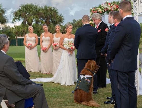 Ο βετεράνος που έκανε κουμπάρο στο γάμο το σκύλο συνοδείας του - Φωτογραφία 3