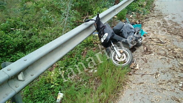 Τρόμος στο Καστρί Πρέβεζας. Δέντρο έπεσε πάνω σε 65χρονο που οδηγούσε μηχανάκι [photos] - Φωτογραφία 3