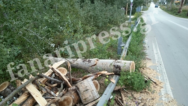 Τρόμος στο Καστρί Πρέβεζας. Δέντρο έπεσε πάνω σε 65χρονο που οδηγούσε μηχανάκι [photos] - Φωτογραφία 7