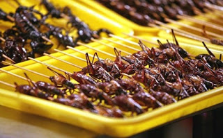 Εντομο-τρόφιμα και στην Ευρώπη; - Φωτογραφία 1