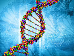 Τελικά το DNA δεν είναι έτσι όπως νομίζαμε - Φωτογραφία 1