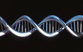 Δεκάδες ακόμα γονίδια βρέθηκαν να συνδέονται με τη γήρανση - Φωτογραφία 1