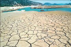 Η χειρότερη οικολογική καταστροφή που έγινε ποτέ [photos]