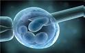 Εμφύτευση βλαστοκυττάρων σε μωρά που βρίσκονται στη μήτρα