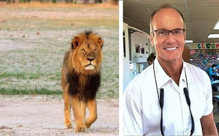 Τη γλύτωσε ο οδοντίατρος που σκότωσε το λιοντάρι Σέσιλ - Φωτογραφία 1