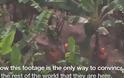 Αεροπλάνο τράβηξε από σπάνια, άγρια φυλή που ζει στον Αμαζόνιο. .ΠΡΕΠΕΙ NA TO ΔΕΙΣ [video]