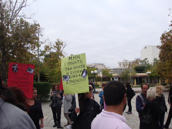 Φρίκη στο Καταφύγιο αδεσπότων του Δήμου Βόλου – Νεκρά ζώα, δέρματα από κουφάρια και σκελετοί [photos] - Φωτογραφία 29