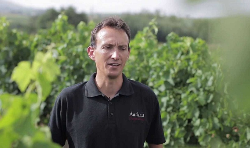 Ποιο είναι το πιο υγιεινό κρασί του κόσμου; - Φωτογραφία 3