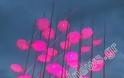 Ρόζ φωταγωγήθηκαν πριν από λίγο και οι περίφημες «Ομπρέλες» του Ζογγολόπουλου [photos] - Φωτογραφία 2