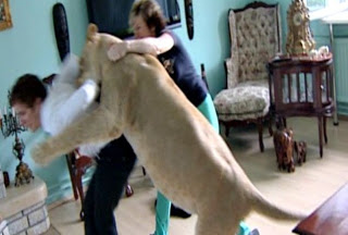 ΣΟΚ: Λιοντάρι τον έφαγε μπροστά στα μάτια της μάνα του... [video] - Φωτογραφία 1