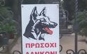 Η πιο ανορθόγραφη πινακίδα για σκύλο που δαγκώνει [photo] - Φωτογραφία 2