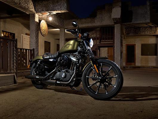 Η  Harley-Davidson σαγηνεύει τους λάτρεις των μηχανών [photos] - Φωτογραφία 7