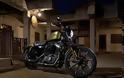 Η  Harley-Davidson σαγηνεύει τους λάτρεις των μηχανών [photos] - Φωτογραφία 7