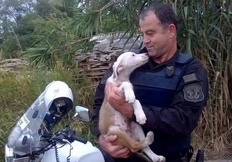 ΦΩΤΟ- Υπέροχος! Αστυνομικός έσωσε κουτάβι στην Εθνική Οδό και το υιοθέτησε! - Φωτογραφία 3