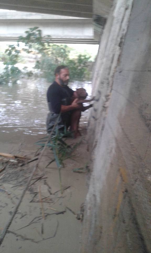 ΟΡΓΗ: Βούτηξαν στα φουσκωμένα νερά του Γιόφυρου για να σώσουν σκυλάκι - Οι ιδιοκτήτες του το είχαν αφήσει να πνιγεί [photos] - Φωτογραφία 3